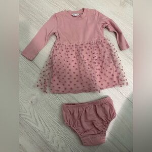 Splendid Pink Long Sleeve Tulle Heart Dress with Bloomer